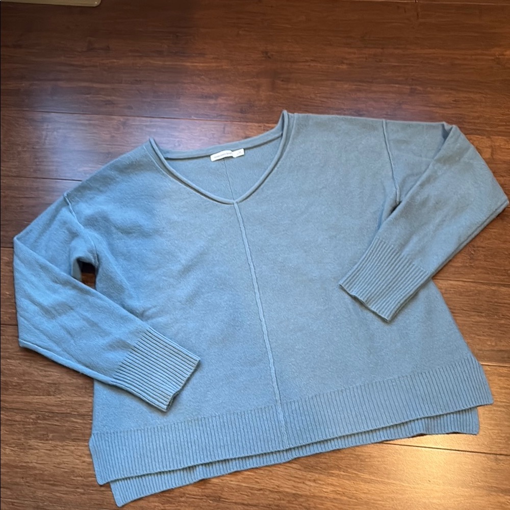 Unsubscribed 100% cashmere Women's Blue V-Neck Sweater, xS